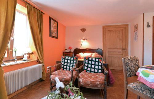 Les Pruniers - Orbey - Foto 11