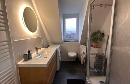 MiCasa TuCasa - 2-R-Apartment Leipziger Neuseenland Vega - Foto 20