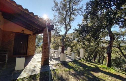 Pozuelo 2 JABUGO - Foto 1