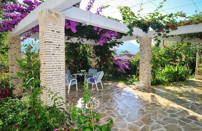 Apartments Stankovic - Photo 1