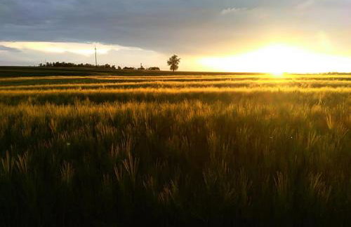 Świerkowa Chata - Foto 14