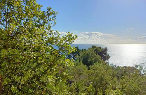 Living Castro Apartments - Foto 27