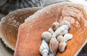 Dream House Efi - Foto 36