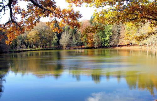 B&B Case Vacanza Orchidea marina di Macchia a Mattinata Gargano - Foto 67