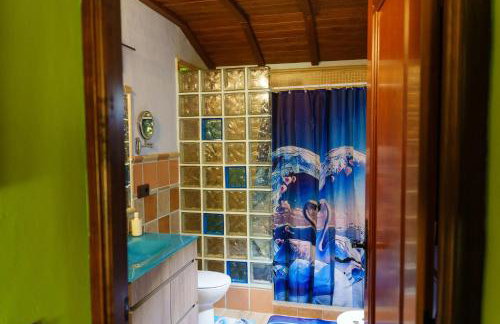 Cozy studio in Valencia de Alcántara 25 m² lovely garden - Foto 7