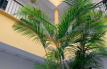 Sibilina House centro Jerez - Foto 28