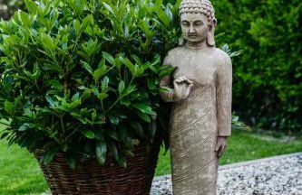 HOME AM SEE Ferienwohnung - Foto 49