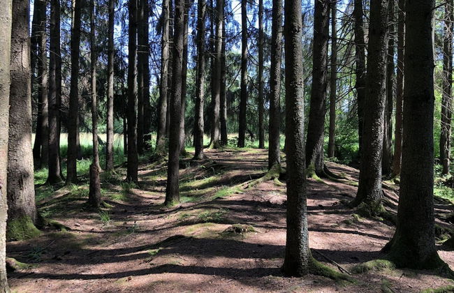 Ardennes Villa With Riverside Garden and Views - Photo 26