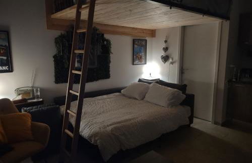 Roomy studio near town and ski lift, free WiFi and parking - Foto 3