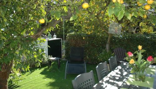 CALM HOUSE - Foto 3, Garden