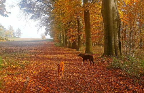 Villa Sonnenblick - Foto 47
