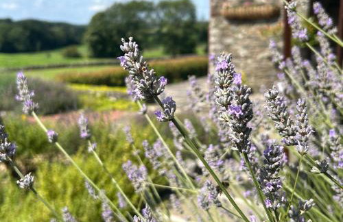 Canny Brow Barn - Foto 67