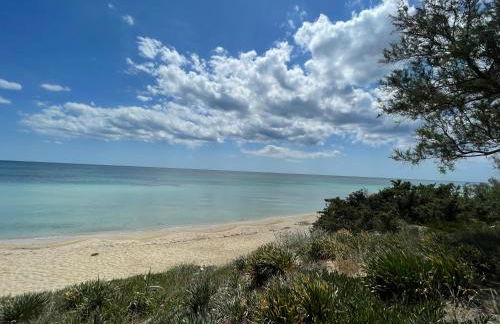 CASAMARE San Pietro in Bevagna - Foto 16