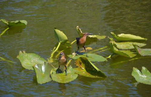 Villa Tortuga - Place to Relax - Photo 34