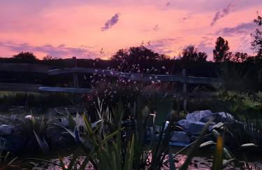 Au chant des oiseaux - rouge gorge - Foto 19