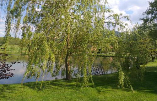 VIP Apartament Sosnówka - Foto 14