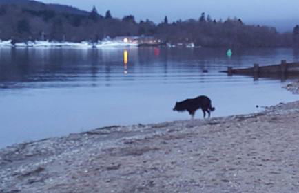 The Old Smiddy Cottage and Apartment - Foto 39