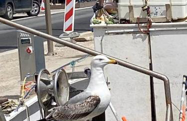 Castellane : T2 spacieux - Vue Port - WIFI - Foto 80