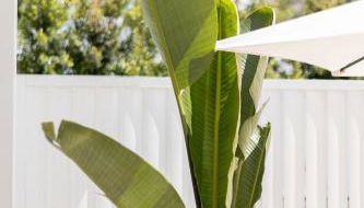 Bossa Bay Suites with Private Pool - MC Apartments Ibiza - Foto 5, Garden