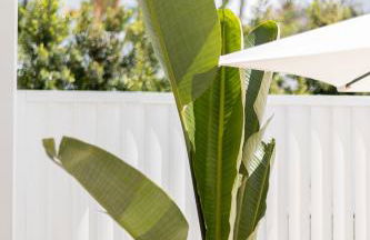 Bossa Bay Suites with Private Pool - MC Apartments Ibiza - Foto 9