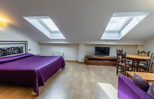 Apartamentos & casas rurales Santo Domingo de Silos - Photo 66