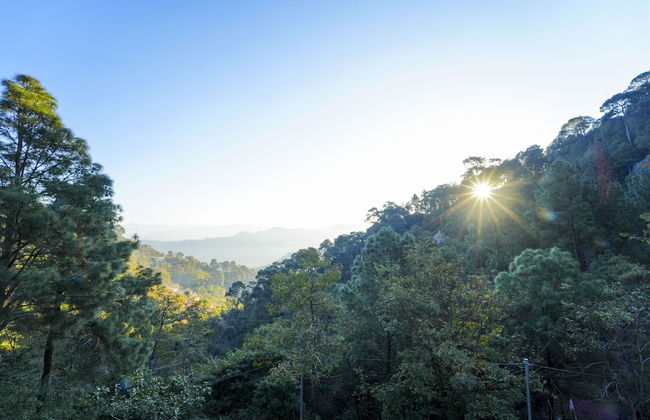 Kamlia 3 BHK Villa By Dumnu Homes - Foto 43