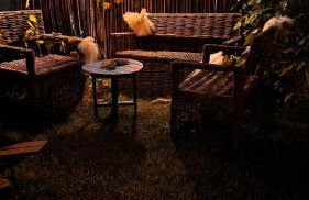 Bangalôs Flecheiras de Canaã - Foto 63