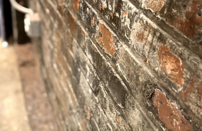 424 Gold Way - Studio Apt. 401 - Foto 4