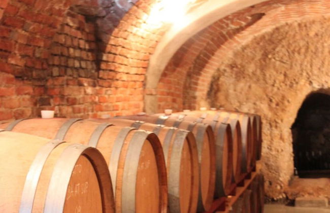 Freisa in Villa Pesce - Foto 7