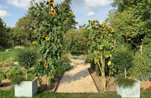 Le Gite du Chemin Vert - Foto 21