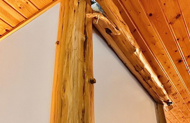 Boardman Monarch Upscale River Lodge HOT Tub! - Foto 71