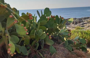 Case rotonde - Foto 27