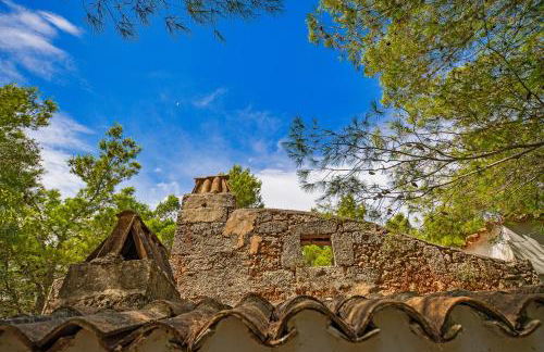 Torre Casciani - Foto 98