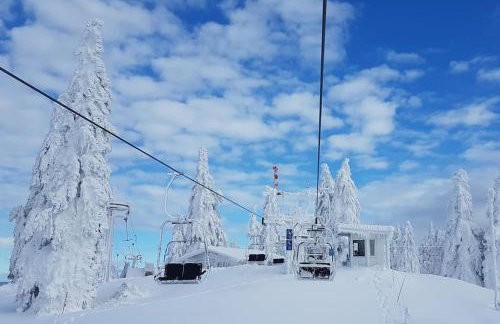 Apartment, 2 bedrooms, kitchen+2 bathrooms - Photo 13