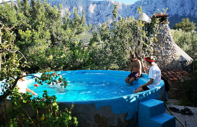 Country House in the Su Gologone Area 30 km From Cala Gonone 5 km From Oliena - Photo 74