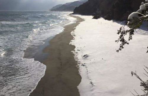 Dovas house - Foto 41