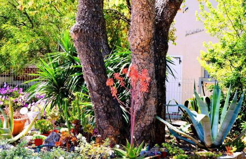 Athéna MOTEL - Foto 12