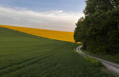 Ferienhaus Weinbergblick - nahe Würzburg - 2 Schlafzimmer - Familienfreundlich - Terrasse - Foto 55