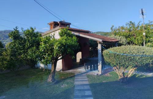 Casa de Valeria - Photo 10