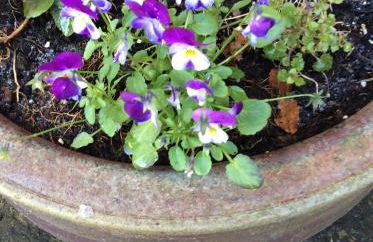 Summers Barn - Foto 7