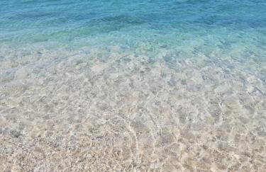 Le Palmae, Cocon chic & végétal au cœur de Hyères - Foto 17