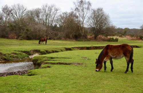 Stable Cottage - Photo 32