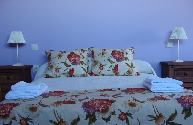 Estudios Manolo - Photo 11