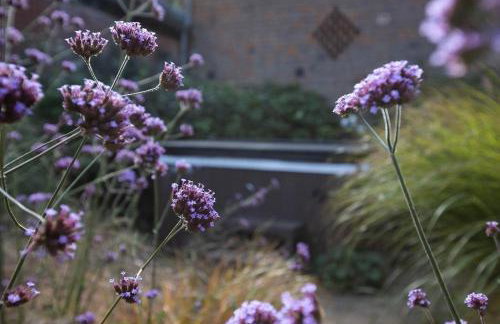 Fullers Hill Cottages - Foto 65