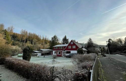 Charmante Harzer Doppelhaushalfte - Foto 43