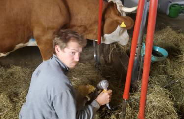 Biohof Dimper - HühnerNest - Foto 25