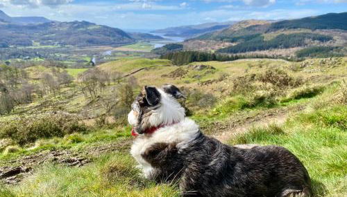 MotoCamp Wales - Lodges - Foto 3