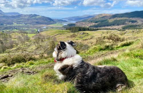 MotoCamp Wales - Lodges - Foto 3