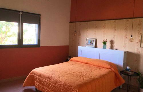 Casa Vacanza L'ulivo - Foto 8