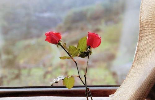 cabaña do rei - Foto 45